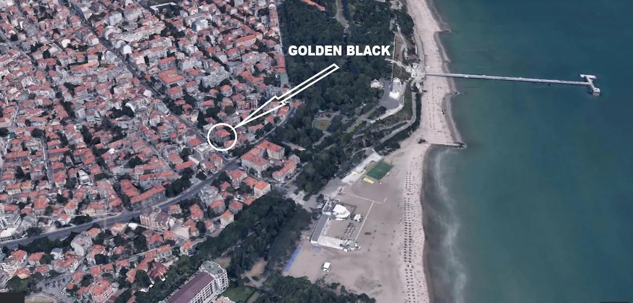 Golden Black Burgas